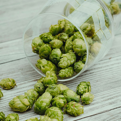 mmm... hops